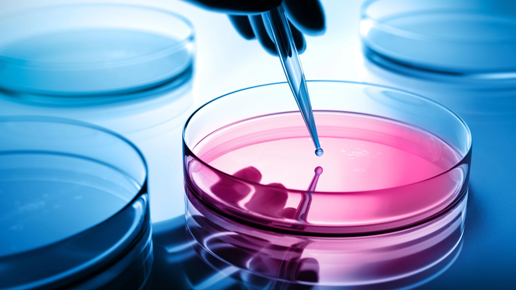 Pink leuchtendes Glas im Vordergrund