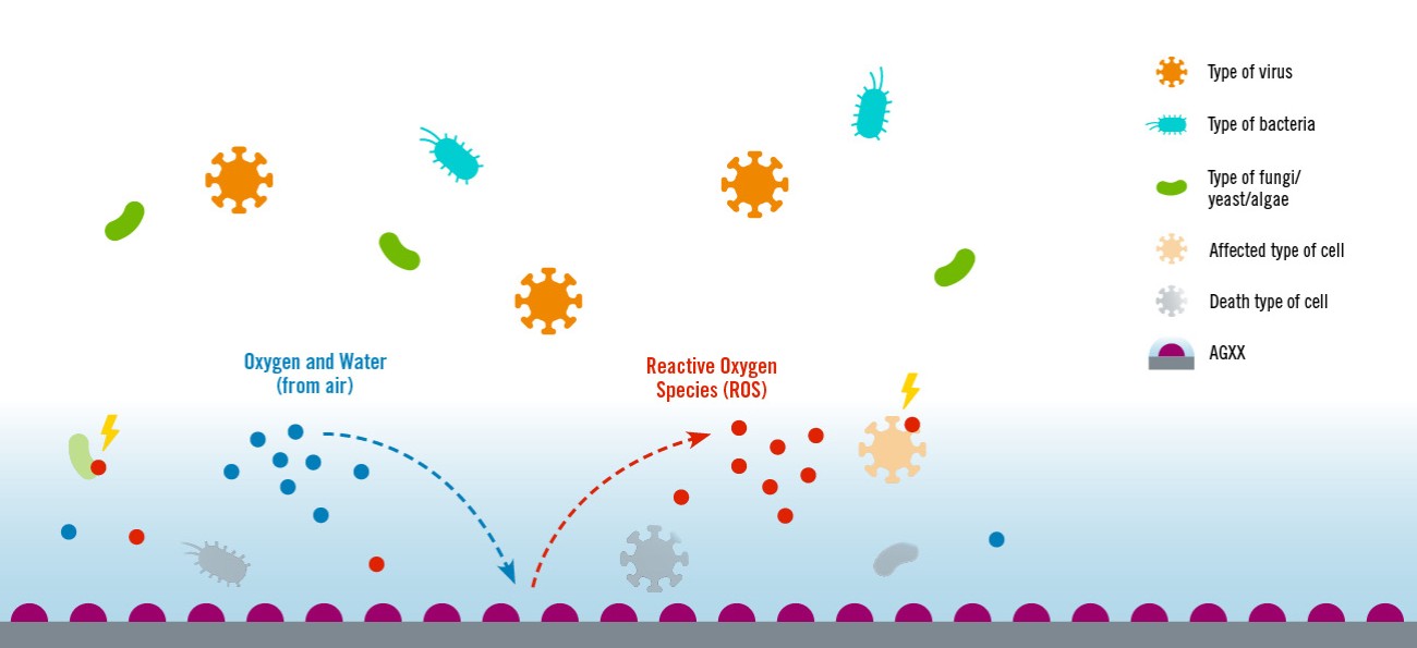 ヘレウスの抗微生物技術 - AGXXの微小電界によって微生物を消滅