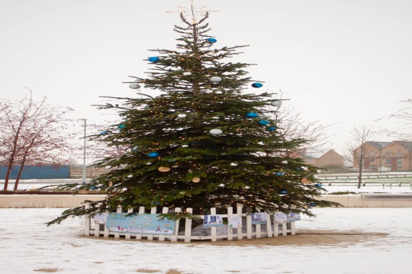 The Christmas Tree at Northstowe