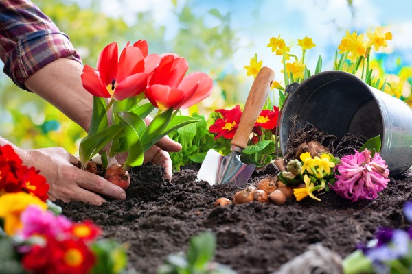 Wussten Sie, dass Infrarot-Strahler die Gartenschaufel verschönert?