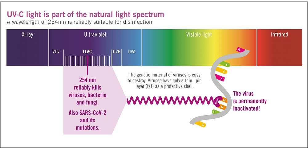 Disinfection with UV light graphic