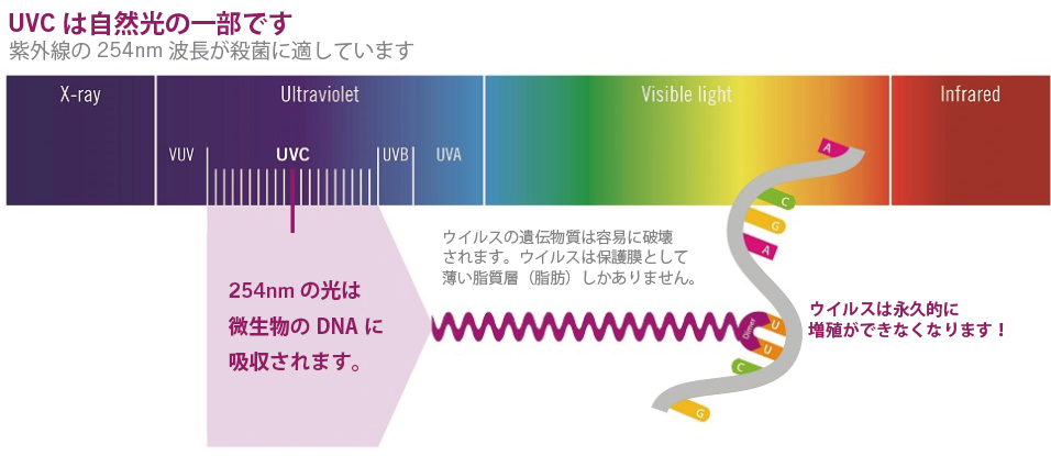 紫外線殺菌のメカニズム