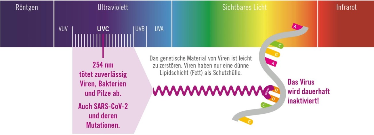 Desinfektion mittels UV Licht Grafik