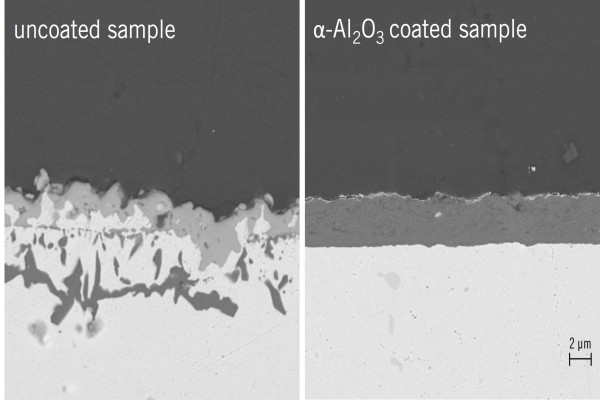 alpha Al2O3 coated sample - anti corrosion