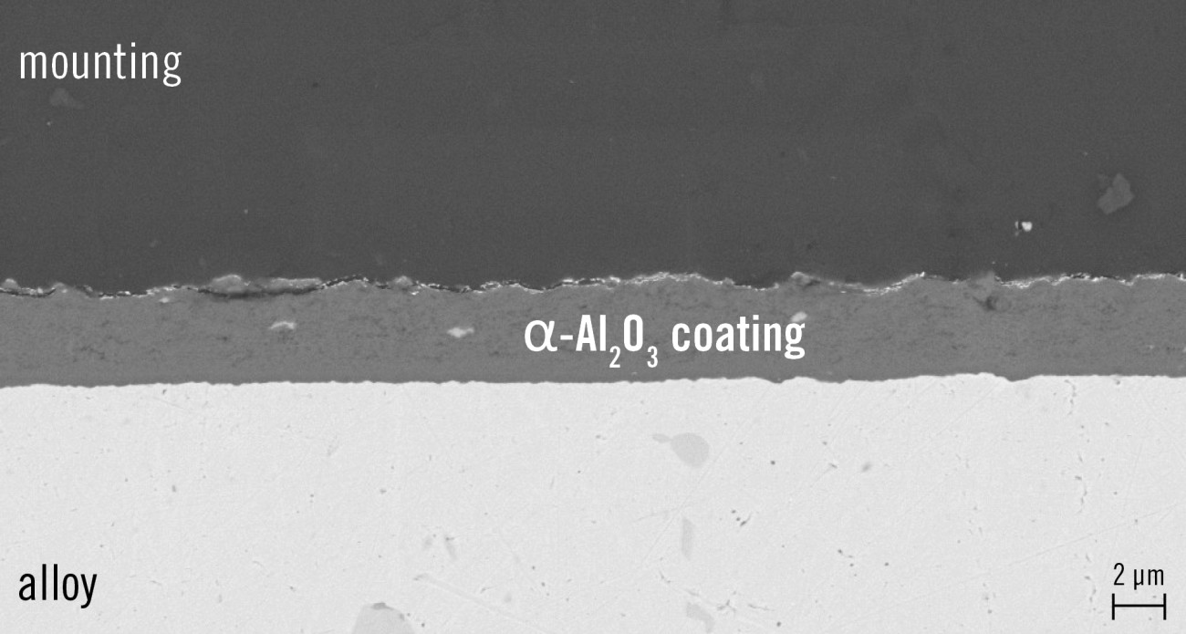Coated Sample