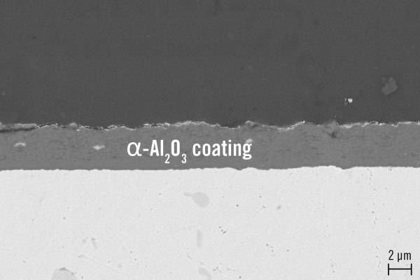 REM picture of AD-Al2O3 coating for protection of high temperature alloys