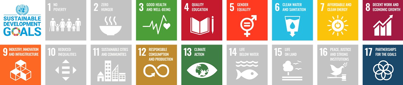Sustainable development Goals SDGs