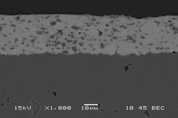 density of IP9217 under SEM